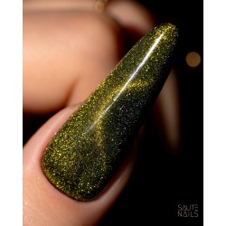 Cat Eye Effect E04 Hybrid Polish