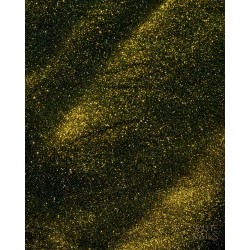 Cat Eye Effect E04 Hybrid Polish