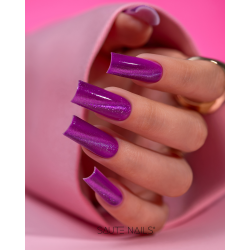 Cat Eye Effect E08 Hybrid Polish