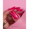 Cat Eye Effect E09 Hybrid Polish