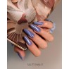 Cat Eye Effect E14 Hybrid Polish