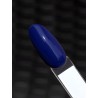 S170 Blueberry Hybrid Polish