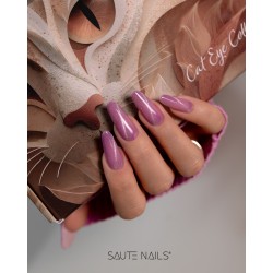 Cat Eye Effect E12 Hybrid Polish