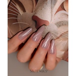 Cat Eye Effect E13 Hybrid Polish
