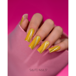 Cat Eye Effect E05 Hybrid Polish