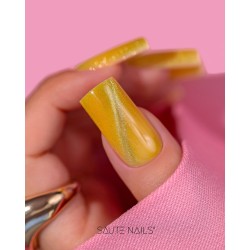 Cat Eye Effect E05 Hybrid Polish