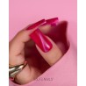 Cat Eye Effect E10 Hybrid Polish