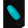 S252 Celebrity Look Hybrid Polish