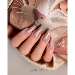 Cat Eye Effect E15 Hybrid Polish