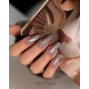 Cat Eye Effect E16 Hybrid Polish