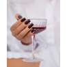 S260 Wine not? Hybrid Polish
