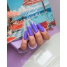 S310 Moody Judy Hybrid Polish