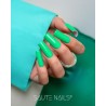 S311 Fizzy Lizzy Hybrid Polish