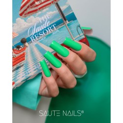 S311 Fizzy Lizzy Hybrid Polish