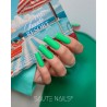 S311 Fizzy Lizzy Hybrid Polish