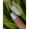 S345 Fluffy Grass Hybrid Polish
