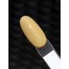 S178 Tweety Hybrid Polish