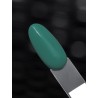 S204 Turtle Hybrid Polish