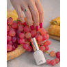 S259 Pinot Nero Hybrid Polish